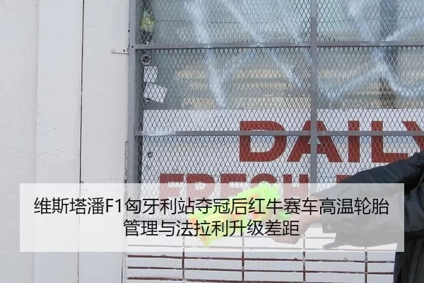 维斯塔潘F1匈牙利站夺冠后红牛赛车高温轮胎管理与法拉利升级差距